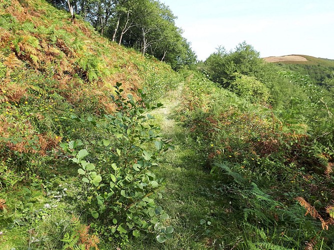 VTT N°16 - Le Tremey