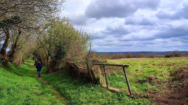 Le tour de Pont Menou | Plouégat-Guérand