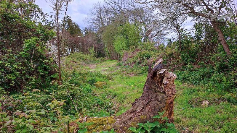 Le tour de Pont Menou | Plouégat-Guérand