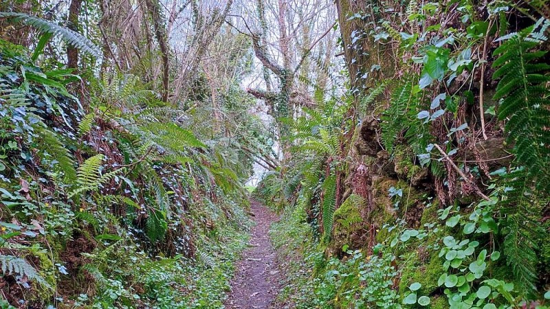 Le tour de Pont Menou | Plouégat-Guérand