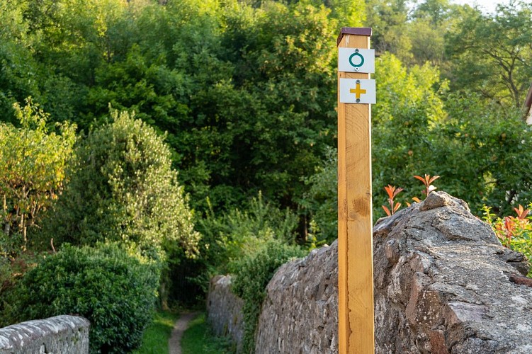 Narrenstein Wanderweg