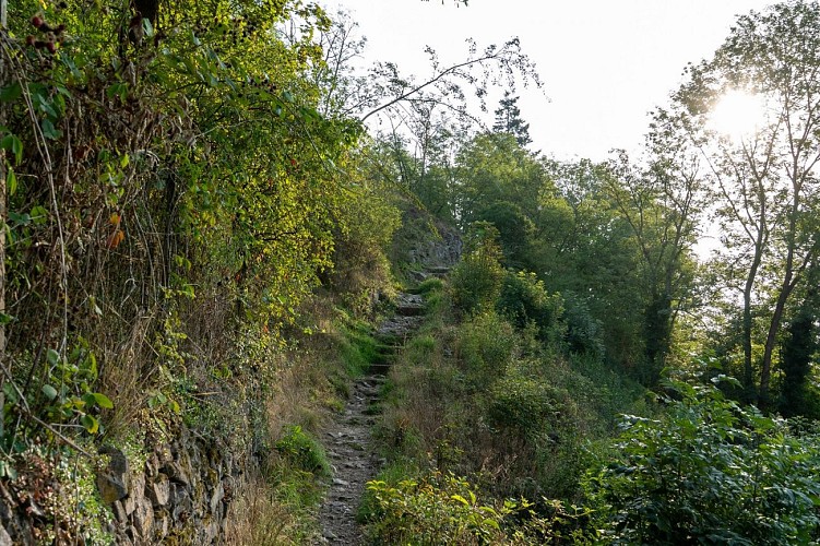 Narrenstein walking tour