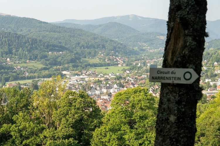 Narrenstein walking tour