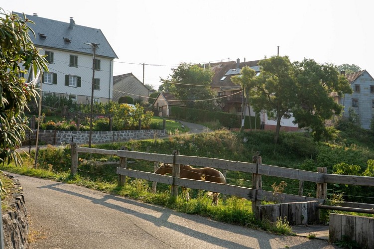 Narrenstein walking tour