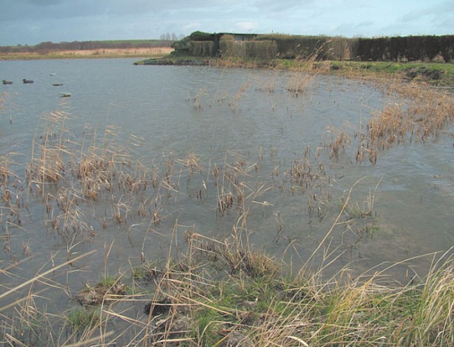Huttes marais