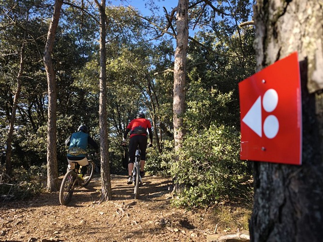 LIAISON ENDURO 5