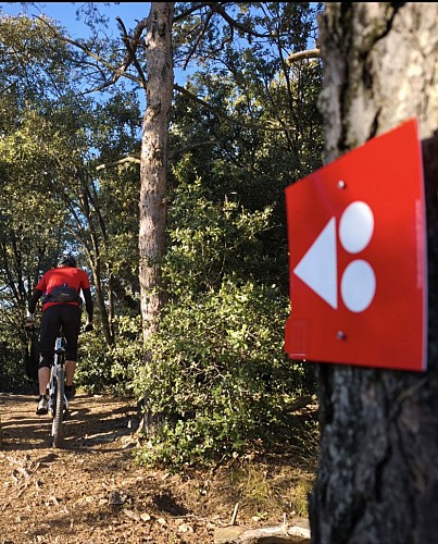 LIAISON ENDURO 6