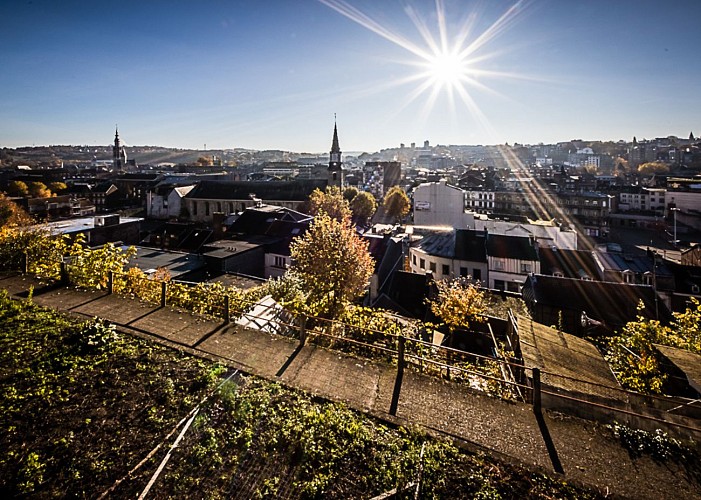 Escaliers Les Hautes Mezelles ©Patrick Outers