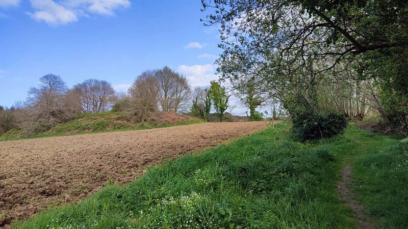 Le tumulus de Plouégat-Guérrand