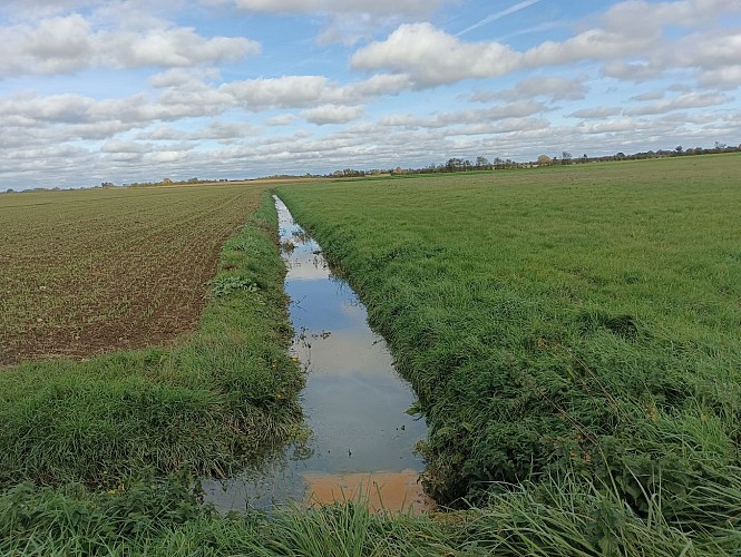 canal de drainage commune de Messé