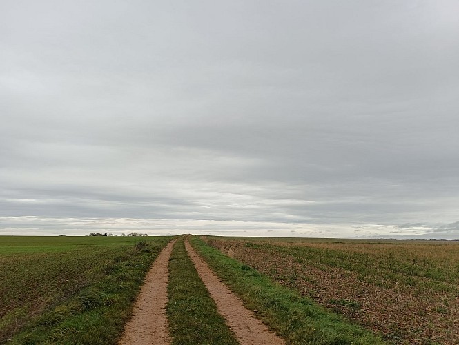 ancienne voie romaine