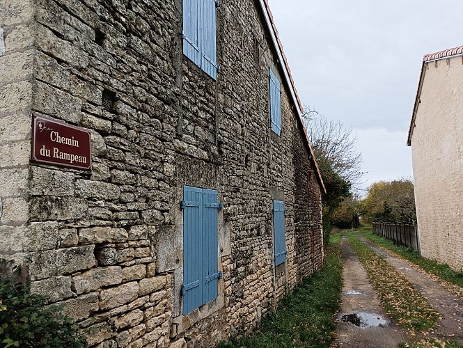 Bois de Messé chemin du Rampeau