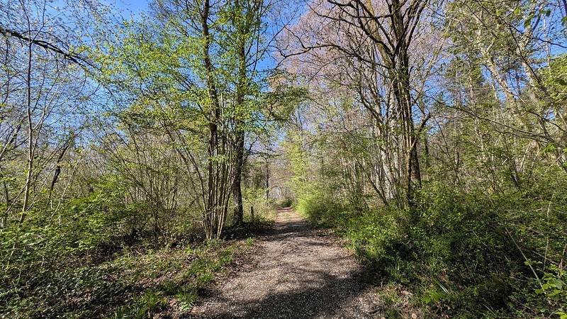 Chemin des Frères Anciaux