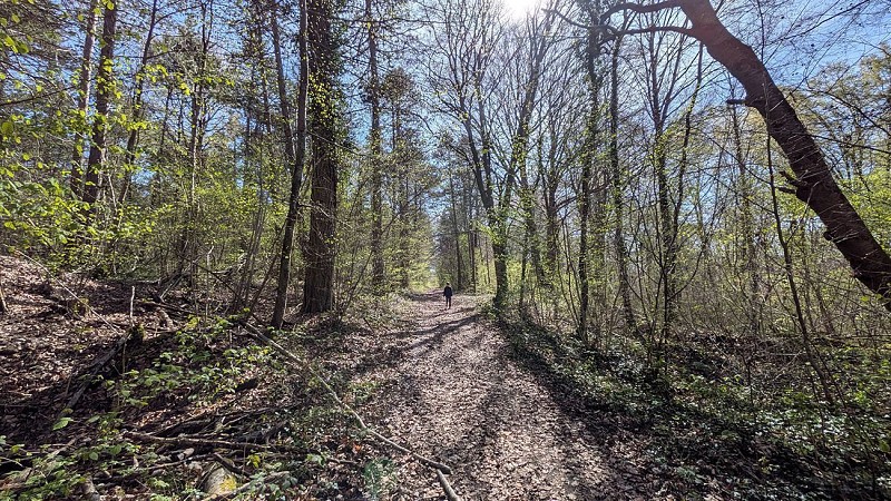 Chemin des Frères Anciaux II