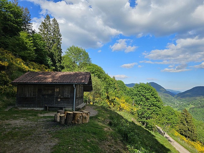 Trail route n° 11 - La Tête des Corbeaux