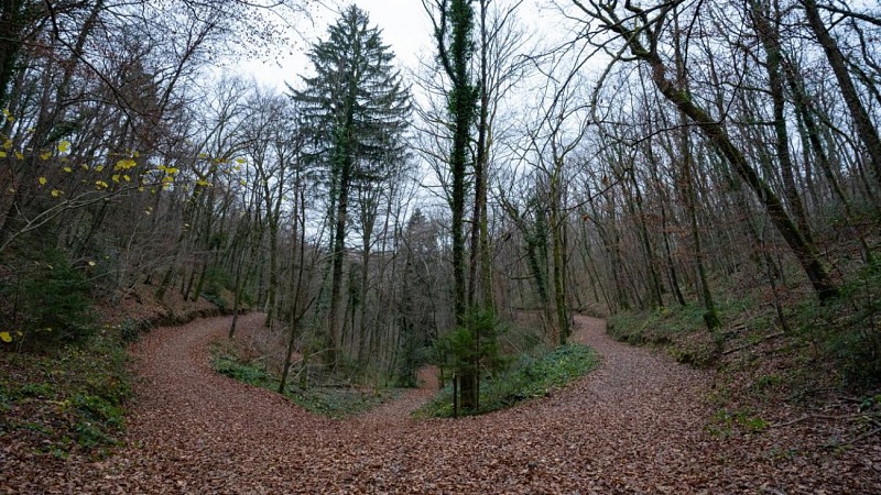 Boucle VTT du bois de ville_Thonon-les-Bains