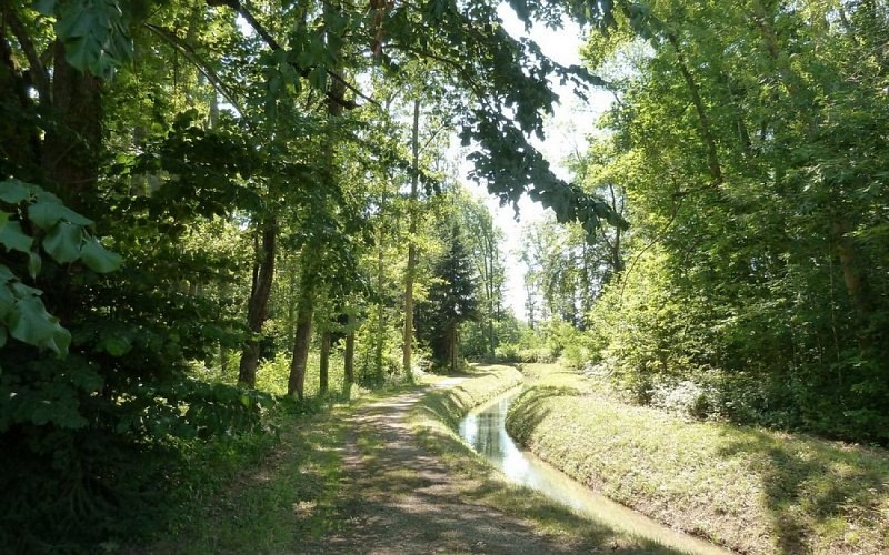 N°16 Vert: Découverte de l'arboretum de la forêt de Cardeilhac