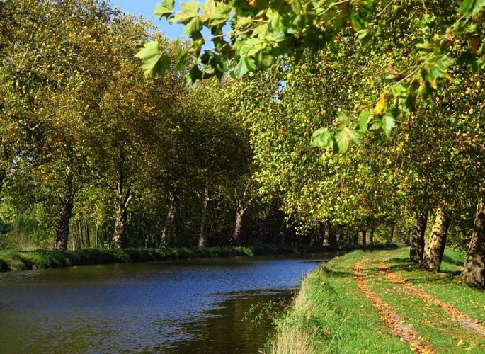 Boucle à vélo - De Bayon à Haroué : Le canal des Vosges et la vallée de la Moselle sauvage