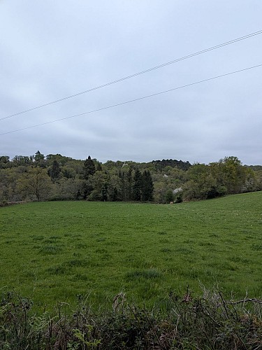 PXL_20260410_080422210