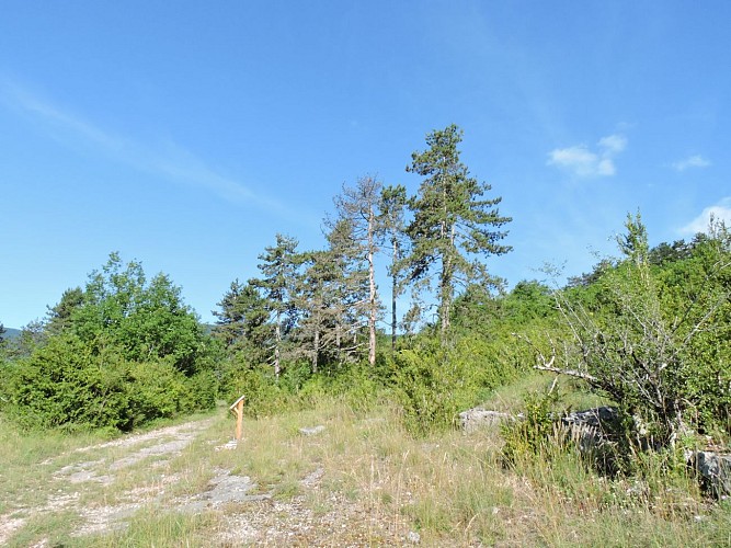 Hiking loop: Le tour du Fierloz_Artemare