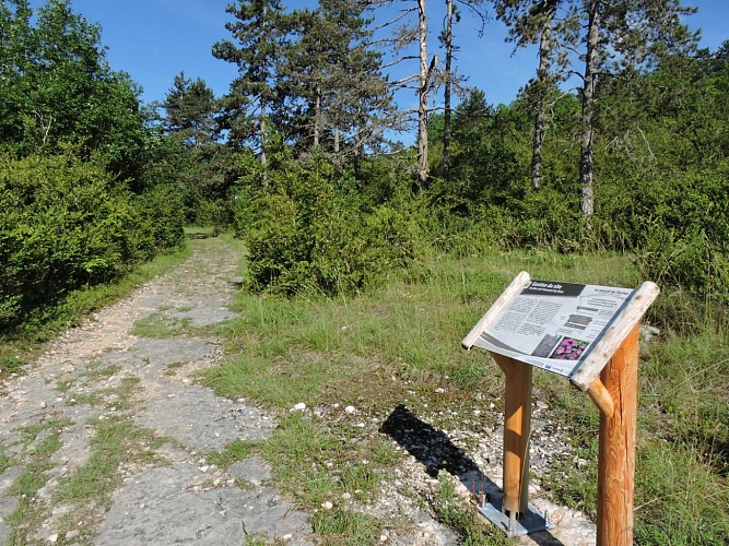 Hiking loop: Le tour du Fierloz_Artemare