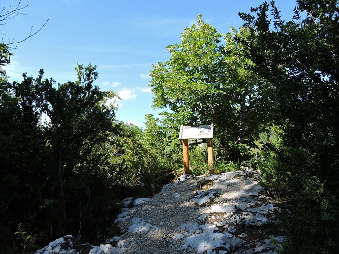 Hiking loop: Le tour du Fierloz_Artemare