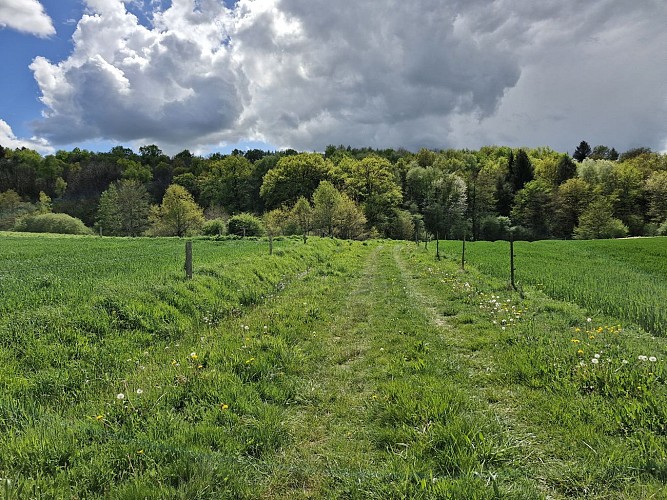 Le Ruisseau des belles Dames Beyssenac