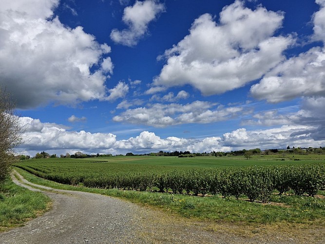 Le Ruisseau des belles Dames Beyssenac