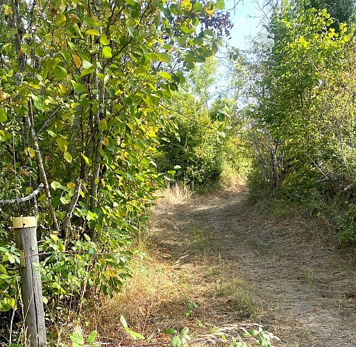 SAINT GERMAIN DU SALEMBRE-Boucle de la Mazille-Chemin-Poteau