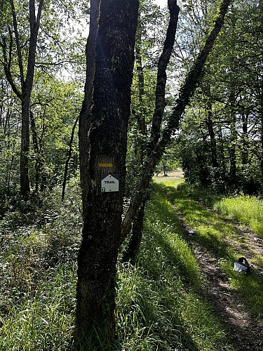 Balise en chemin