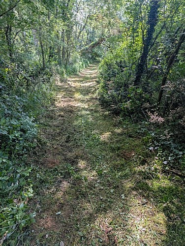 Chemin