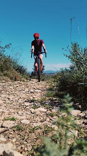 Gravel Sur les Rives du Rhône_Villeneuve-lez-Avignon