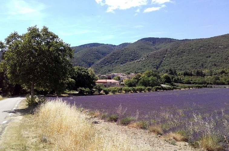 Village d'Auribeau