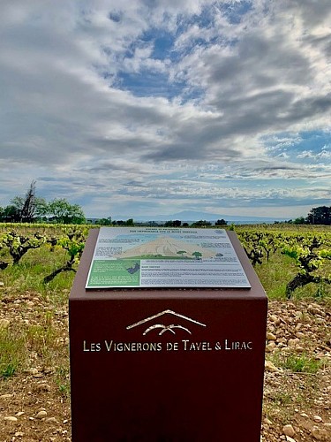 Tavel wine trail sign