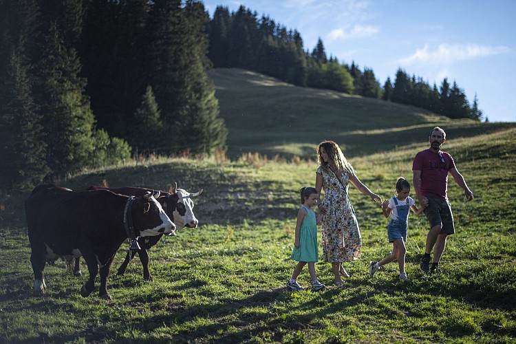 Les Corbassières_La Clusaz