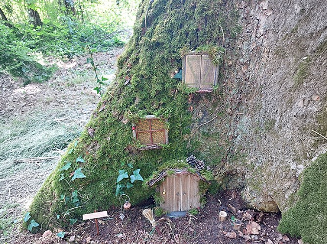 Féérie au Sentier Nature