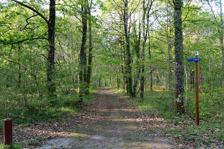 Promenade duMardelay • Chemin du Tertre