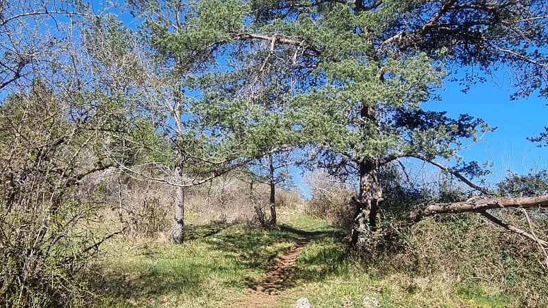 Hiking - The heights of Ile Chambod