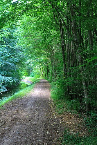 Paysage aux alentours de Champcevrais (3)
