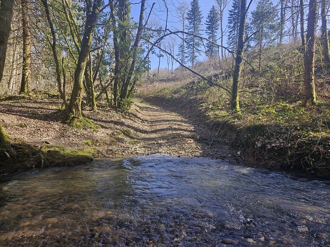 Rivière foret domaniale - Moulin de Lignac - Beyssac © JL OT TDC (8)