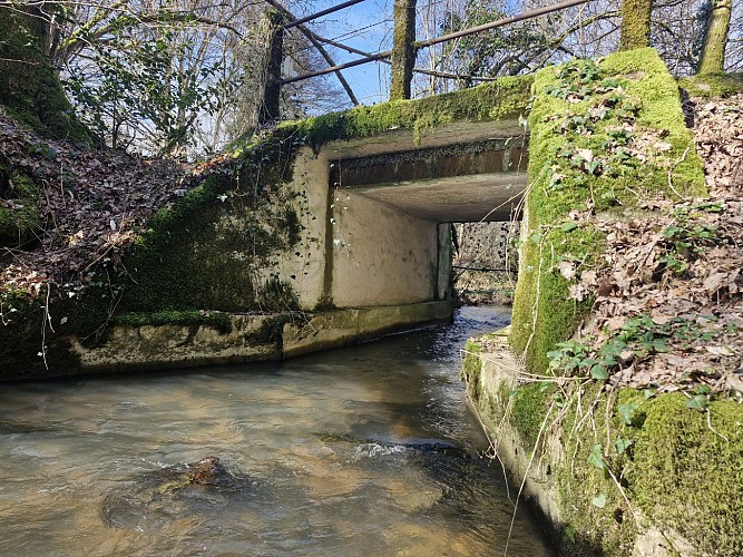 Rivière foret domaniale - Moulin de Lignac - Beyssac © JL OT TDC (3)