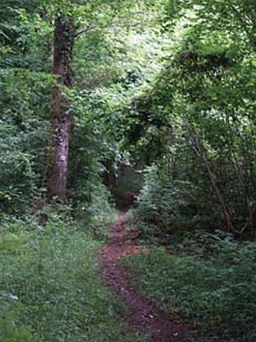 Sentier du retour
