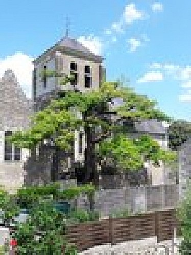 photo-commune-eglise-et-son-chene-g4h7zqpgqv22.jpg.150x150_q85