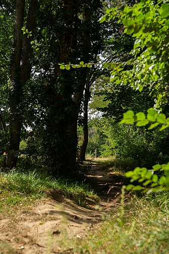 _DSC6639