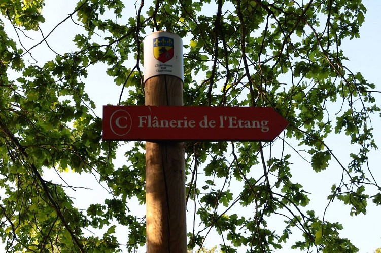 Flânerie côté étang • Promenade du Mardelay