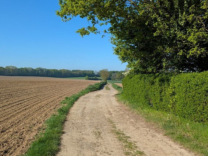 Rallye pédestre 2026