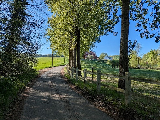 Rallye pédestre 2026