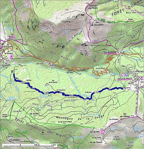Modèle Sity trail