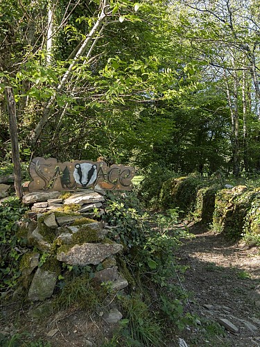 Sentier Sauvage