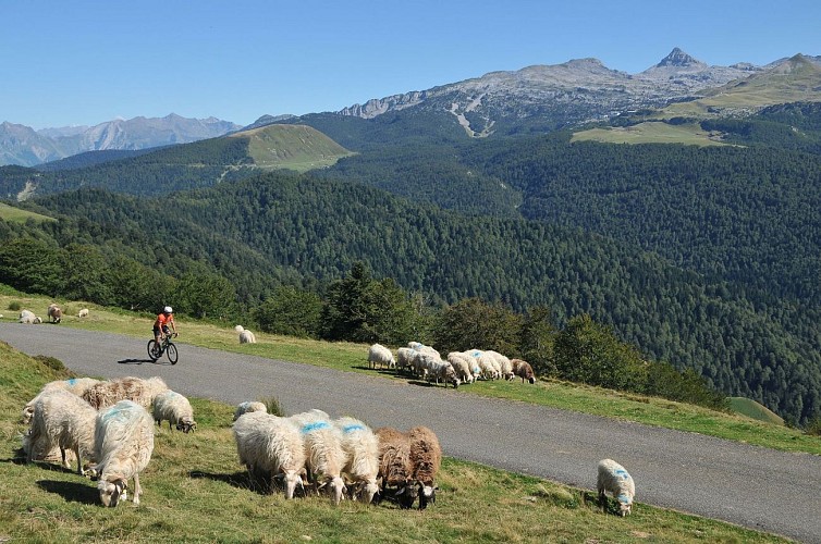 Route n° 29b - La Pierre Jacques